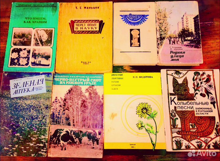 Моё Зауралье