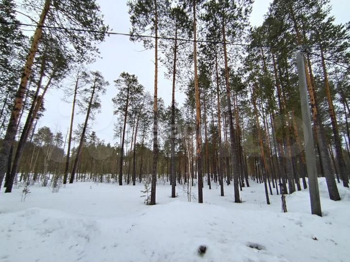 Участок 7,5 сот. (СНТ, ДНП)