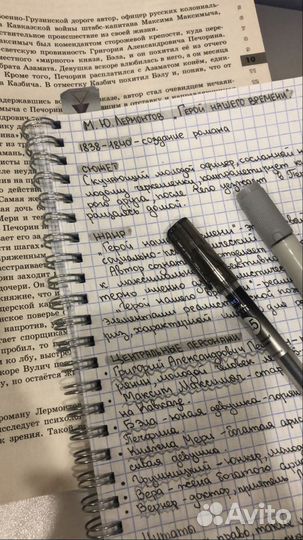 Репетитор по литературе