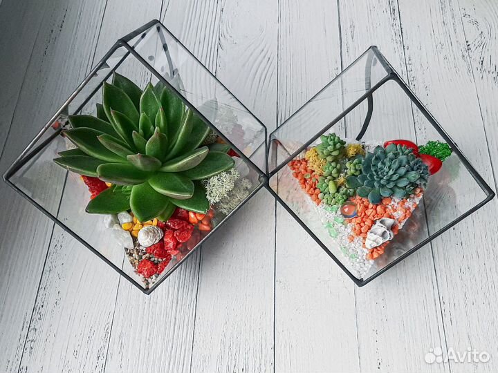 Флорариумы любой формы