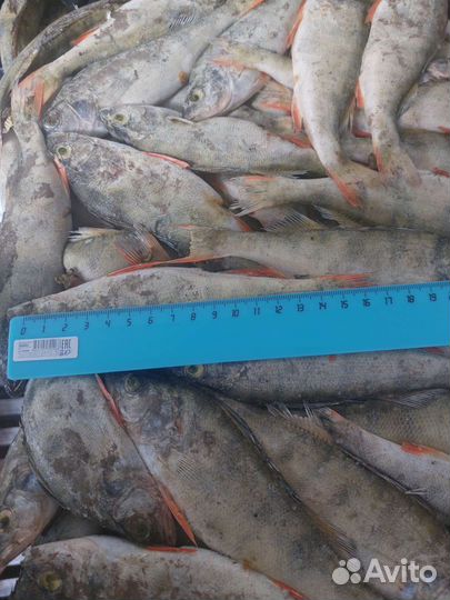 В замороженном виде