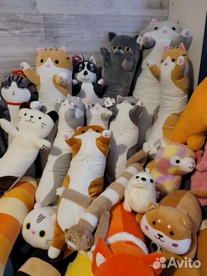 Кот Батон, кот Багет, хаски, авокадо, корги, гусь