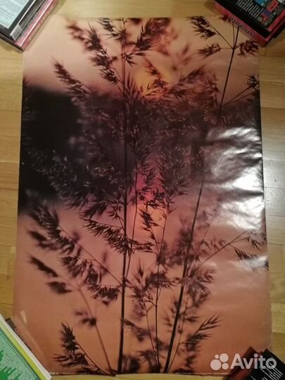 Календарь восточного гороскопа 1901-2000 плакат