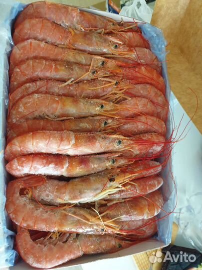Лангустины креветки блок 2 кг