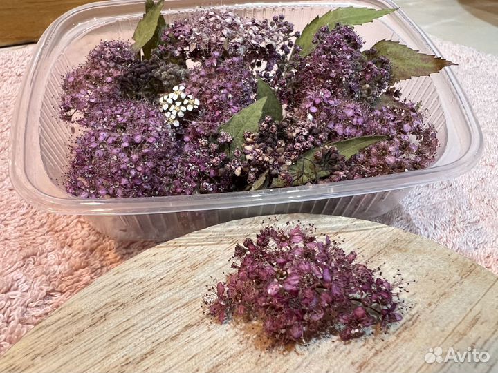 Сухоцветы ассорти