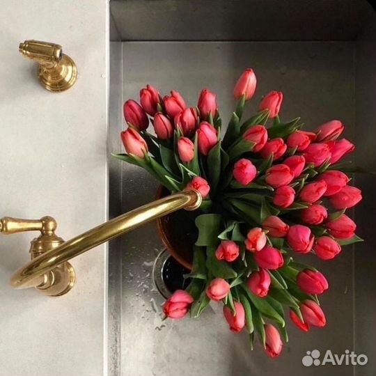 Тюльпаны к 8 марта оптом