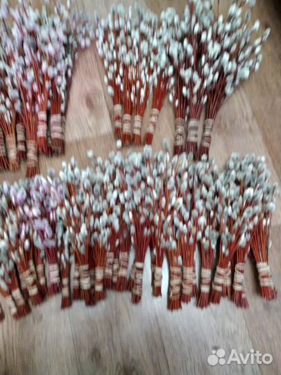 Верба оптом