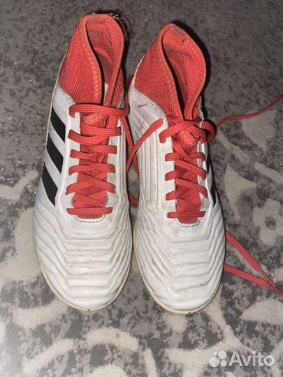 Футзалки adidas predator