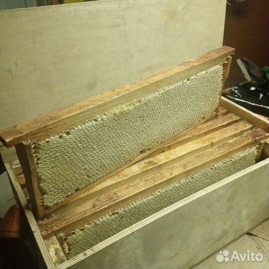 Рамки медовые