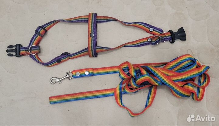 Комплект поводок и шлейка