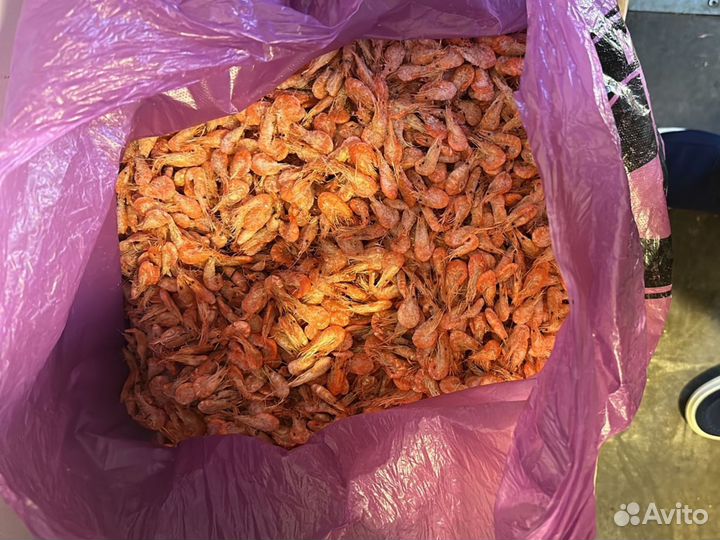 Креветка Азовская Черноморская