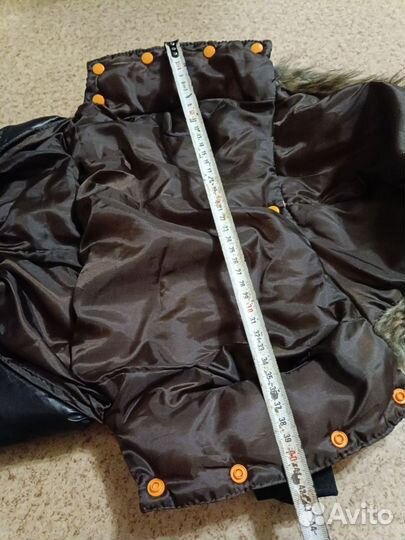 Одежда для собак