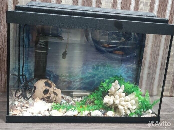 Аквариум