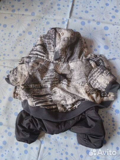 Одежда для маленьких пород собак