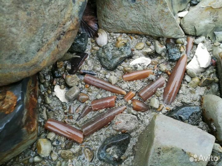 Белемниты. Разного размера. В наличии около 10кг