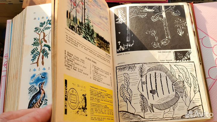 Журнал Юный натуралист подшивка за 1975 год