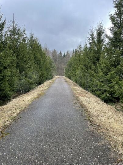 Участок 2,8 га (СНТ, ДНП)
