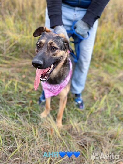 Маленькая Берта ищет дом