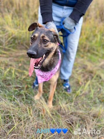 Маленькая Берта ищет дом