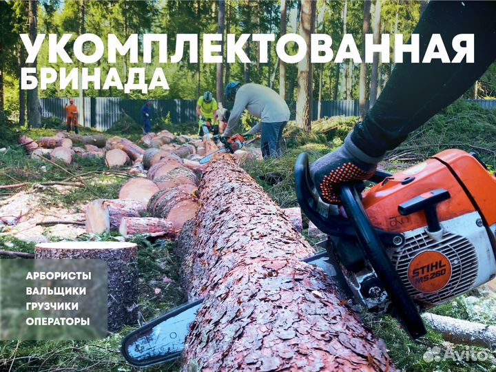 Удаление деревьев/Расчистка участка в Зеленограде