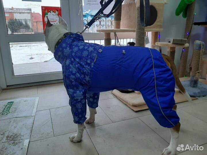 Одежда для крупных собак корги такса мопс