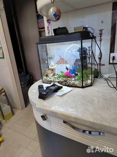 Аквариум 30л