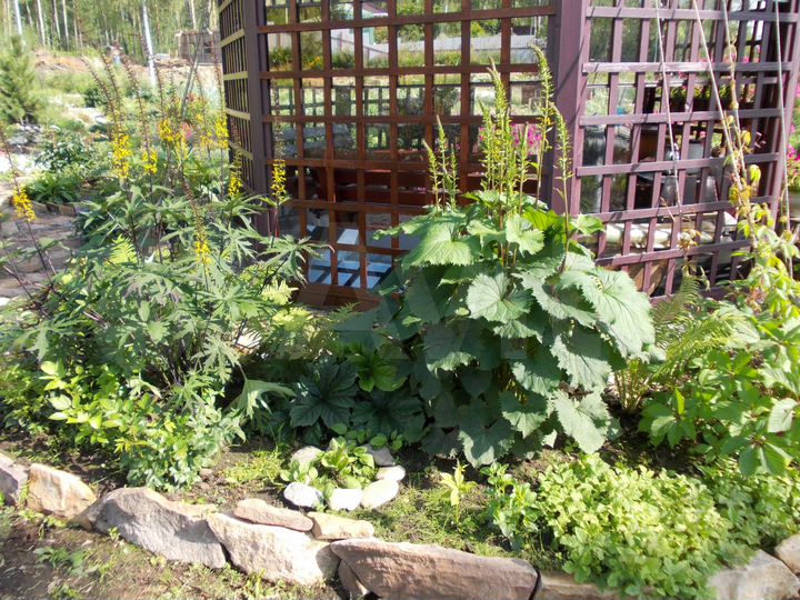 Участок 50 сот. (СНТ, ДНП)