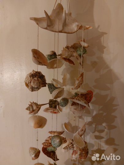 Морские ракушки раковины, музыкальная подвеска