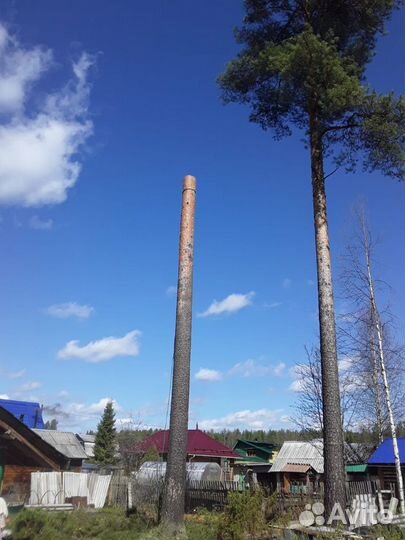 Спил деревьев