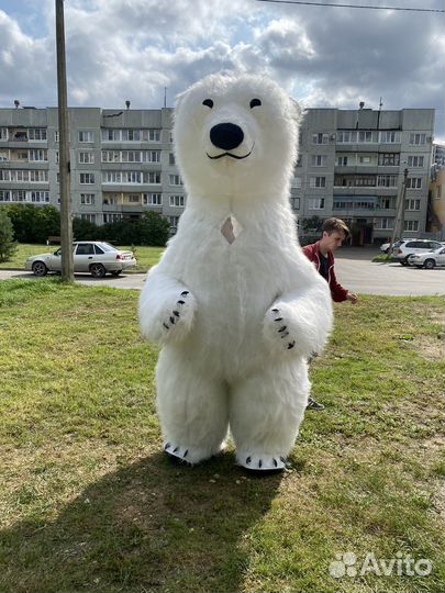 Бурый и Белый Медведи 2,6 метра