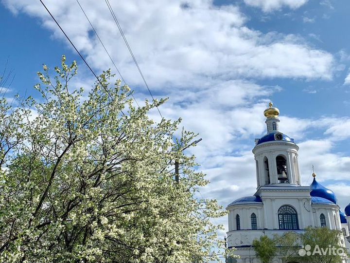 Владимир Топ-Экскурсия Боголюбово и церковь Покров