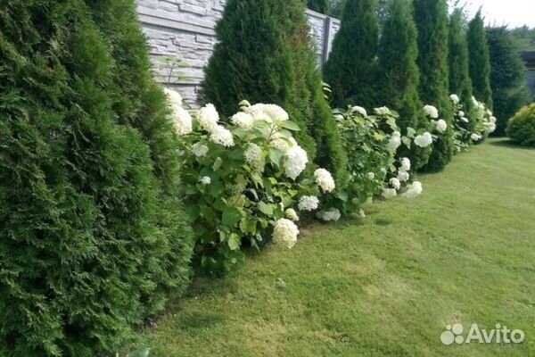 Торф верховой 50 л