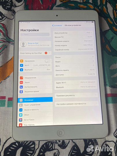 iPad mini 2