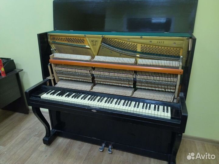 Настройка фортепиано: пианино и роялей