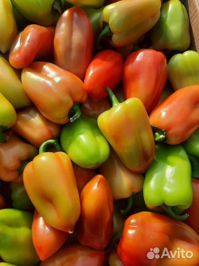 Доставка продуктов питания