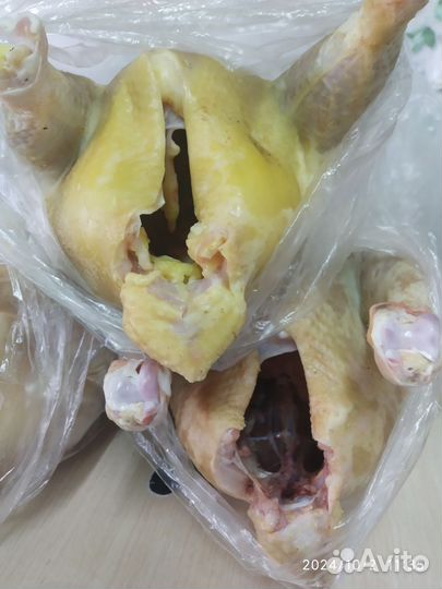 Яйцо столовое куриное