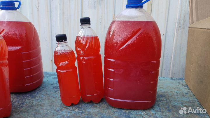 Рыбий жир для животных