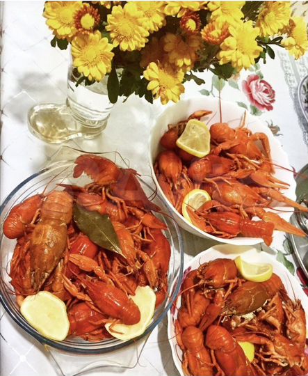 Дом 100 м² на участке 19 сот.