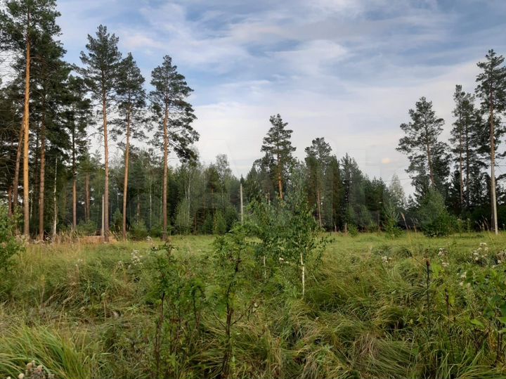 Участок 10 сот. (ИЖС)