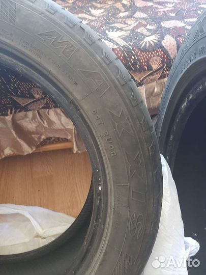 Maxxis SP3 Premitra Ice 205/55 R16 91T