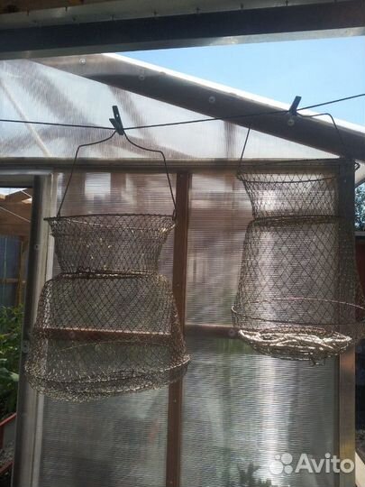 Садок рыбатский