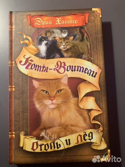 Коты воители, хроники стаи, полиана, колодец желан