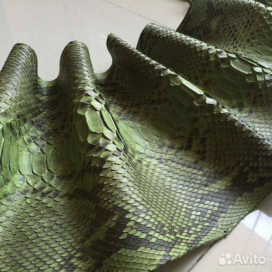 Шкура, кожа питона