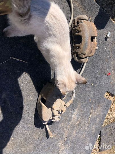 Суппорт передний Volkswagen Passat B6