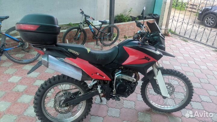 Irbis xr 250