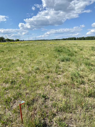 Участок 19 сот. (ИЖС)