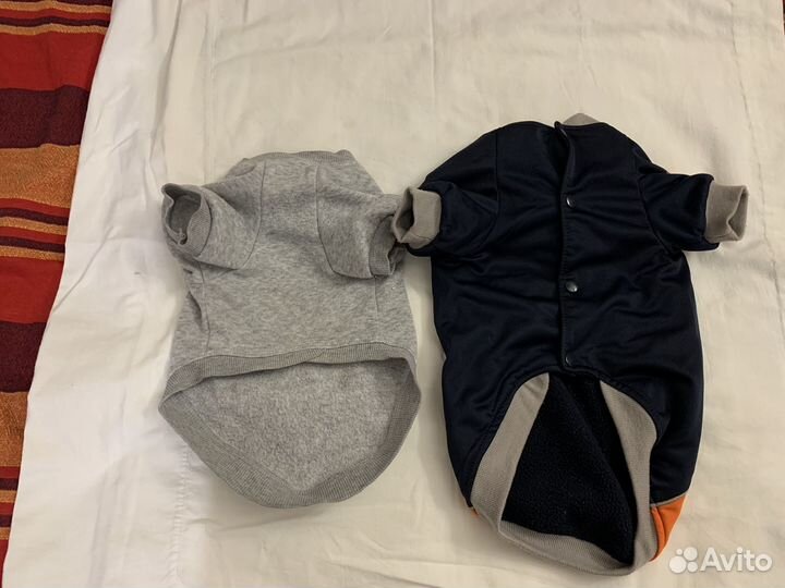 Одежда для маленьких собачек