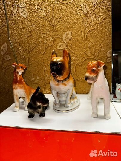 Собаки лфз СССР