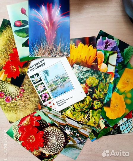 Наборы открыткок