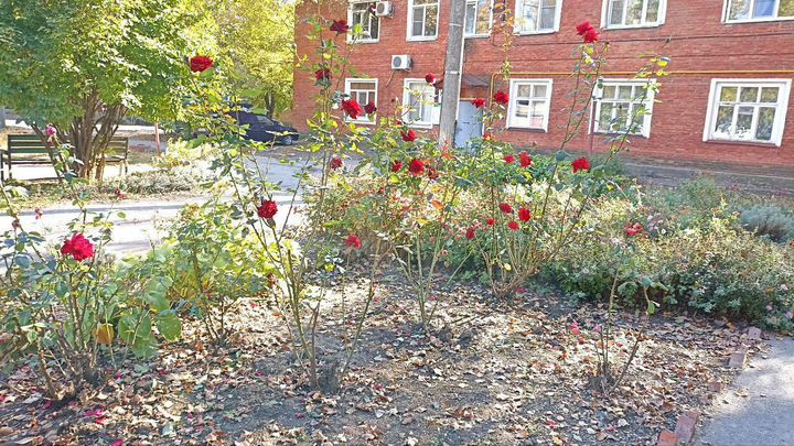 1-к. квартира, 31 м², 2/2 эт.